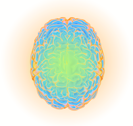 Brain — mental fitness